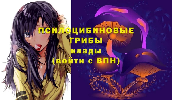 mix Арсеньев
